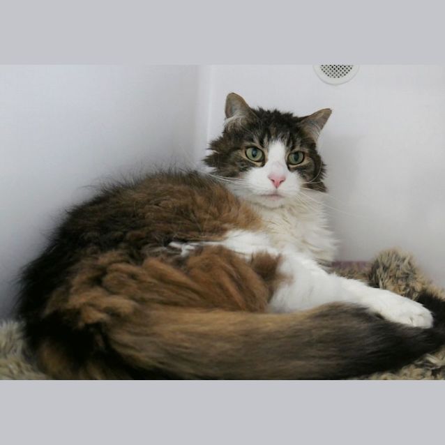 Photo of Princess & Busta