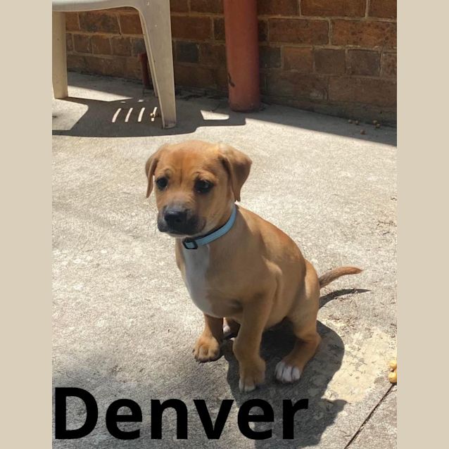 Photo of Denver