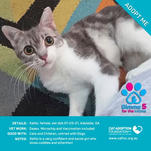 Photo of Kahlo