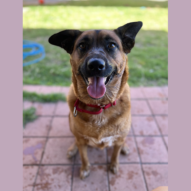 Photo of Luna