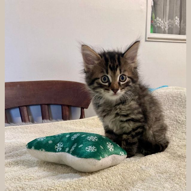 Photo of Leroy
