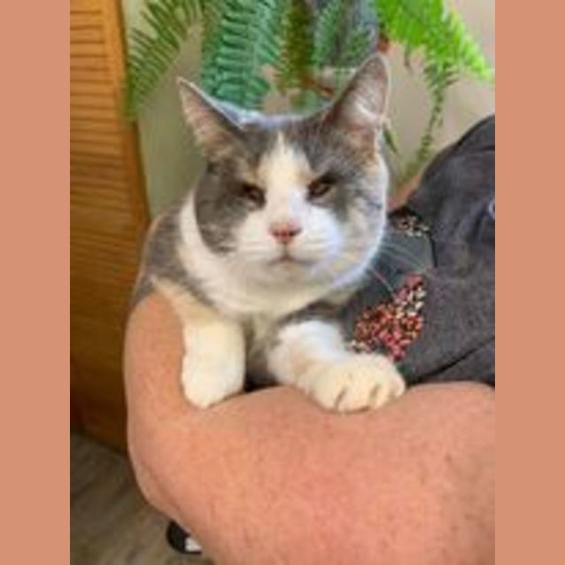 Photo of Missy