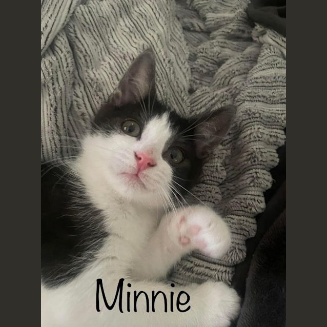 Photo of Minnie