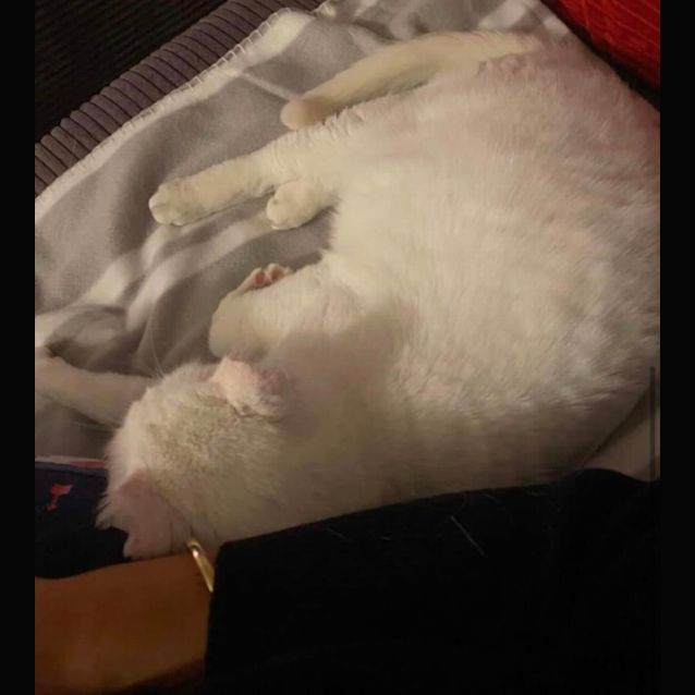 Photo of Edward 