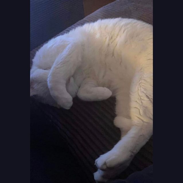 Photo of Edward 