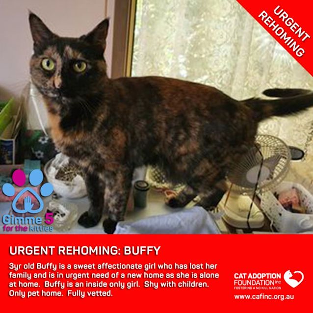 Photo of Buffy