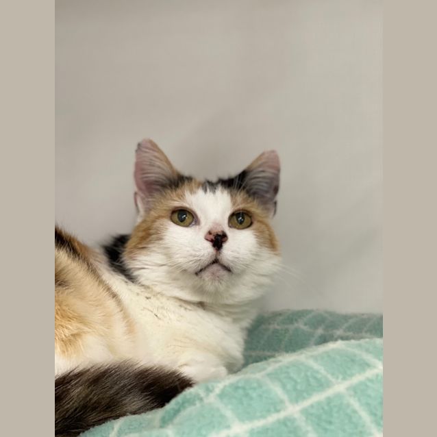 Photo of Matilda