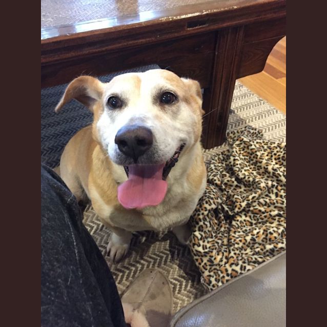 Photo of Bentley 