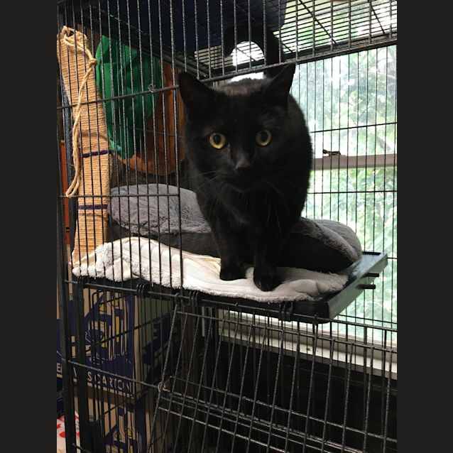 Photo of Salem