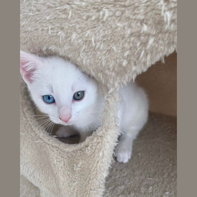 Photo of Hunter 