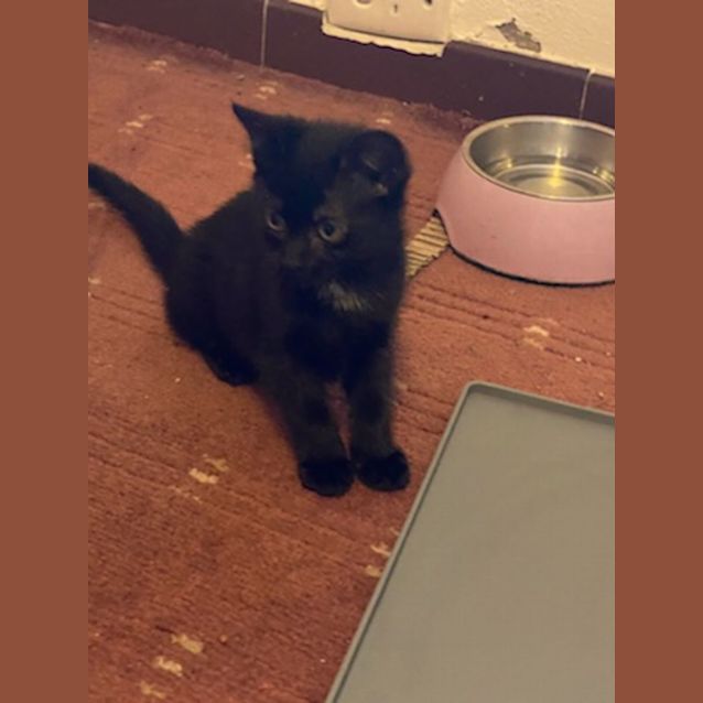 Photo of Perry And Lisa