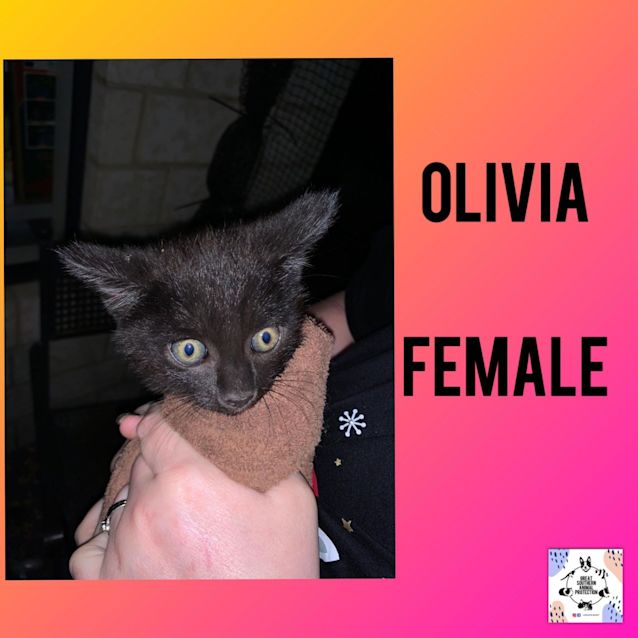 Photo of Olivia