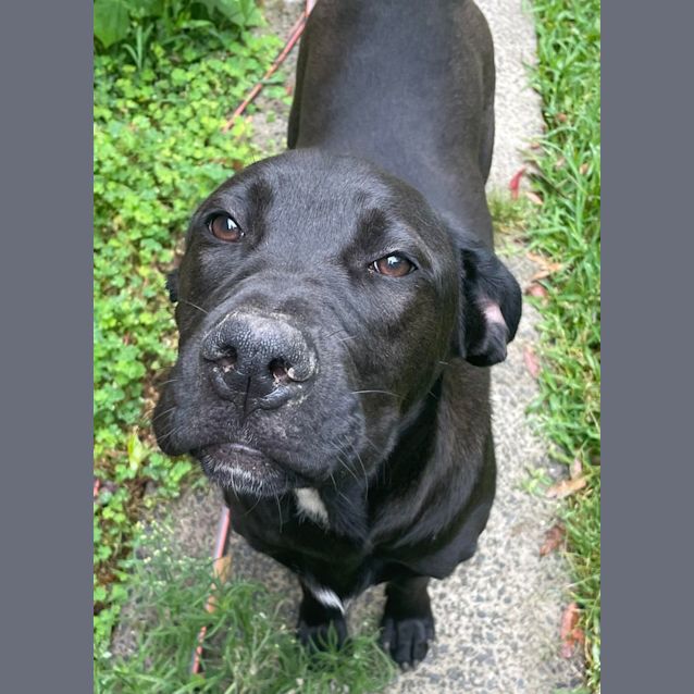 Photo of Oswald "Ossie"