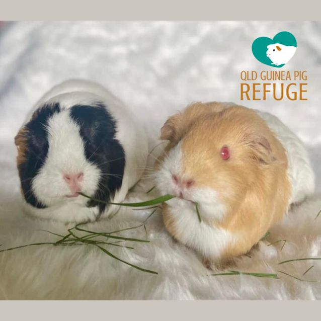 Photo of Mara And Adora 