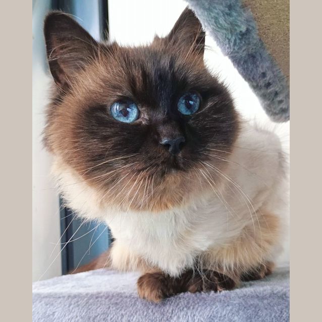 Photo of Holly Quokkaface