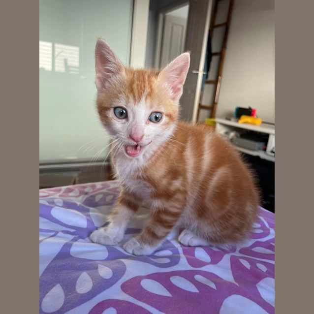 Photo of Arthur Christmas 