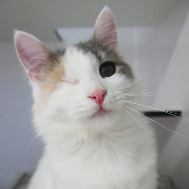 Photo of Karina Suk009107