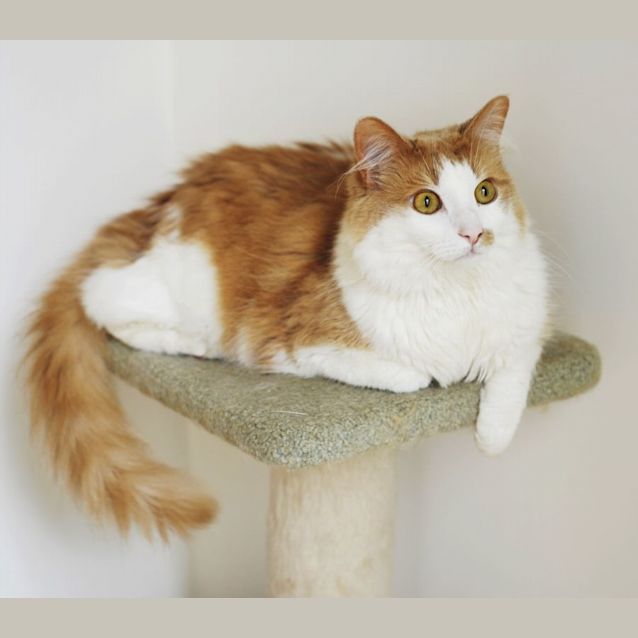 Photo of Tremlett & Ban Ki 