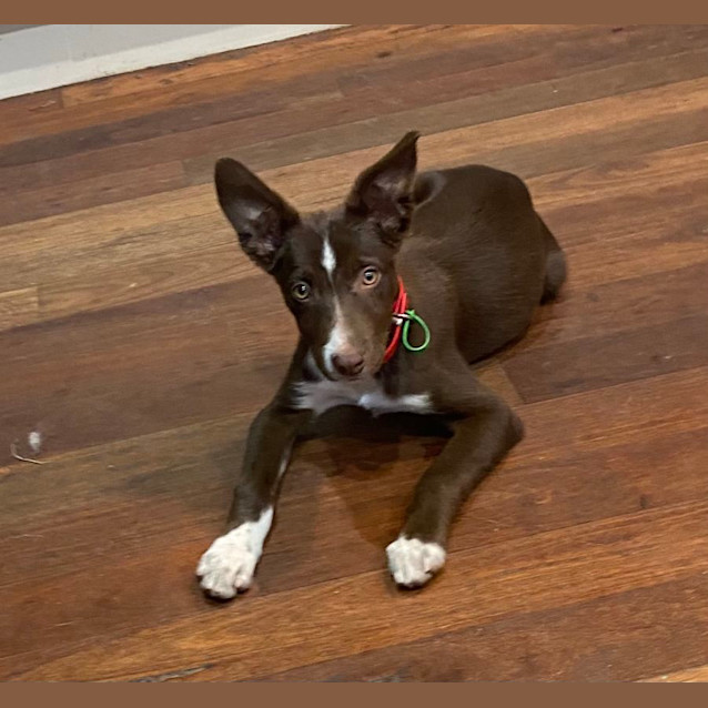 Photo of Frank