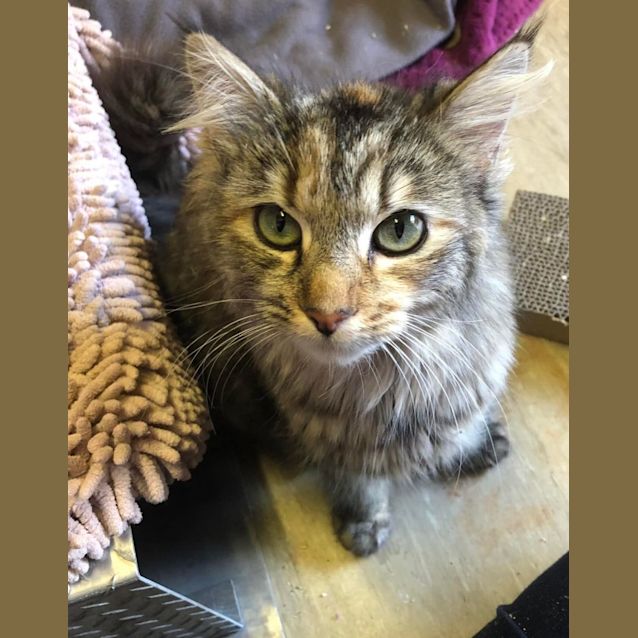 Photo of 🌟 Melody 🌟 