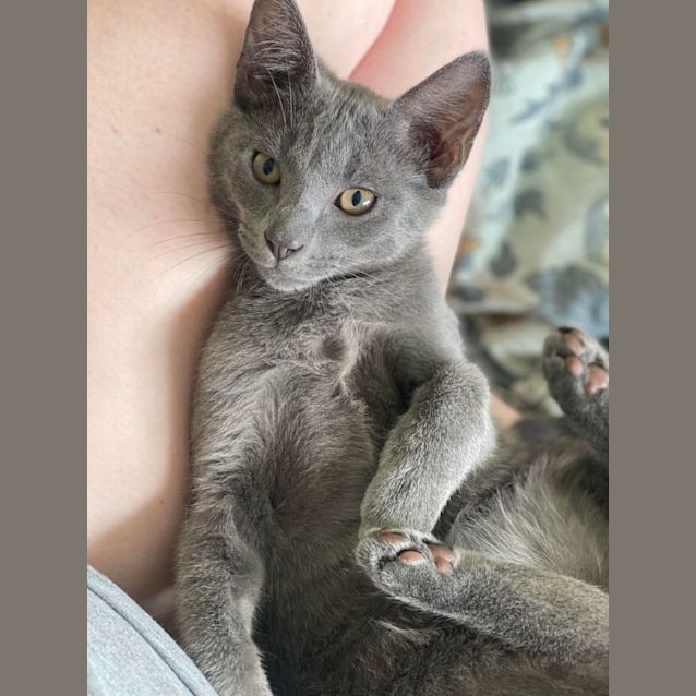 Photo of Anton 