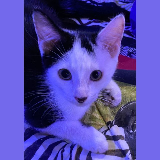 Photo of Charlie