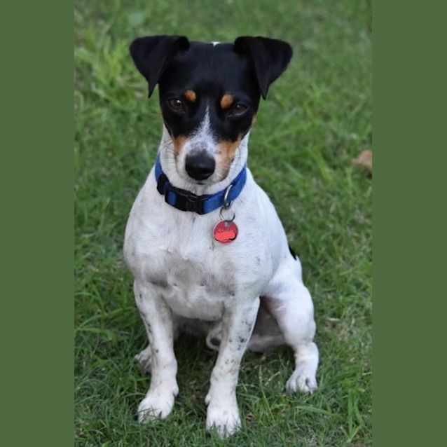 Photo of Archie And Izzy