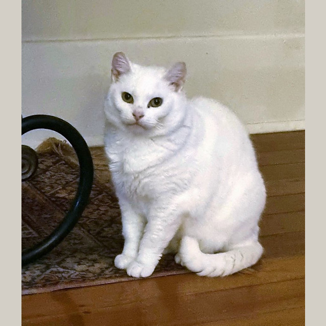 Photo of Milly Isherwood