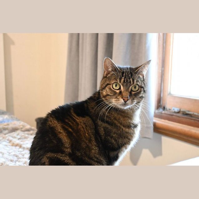 Photo of Mellow And Tessie   Located In Brunswick