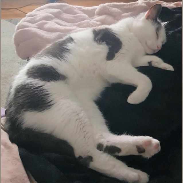Photo of Victor   Located In Collingwood