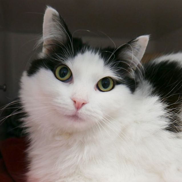 Photo of Lolly Sua009267