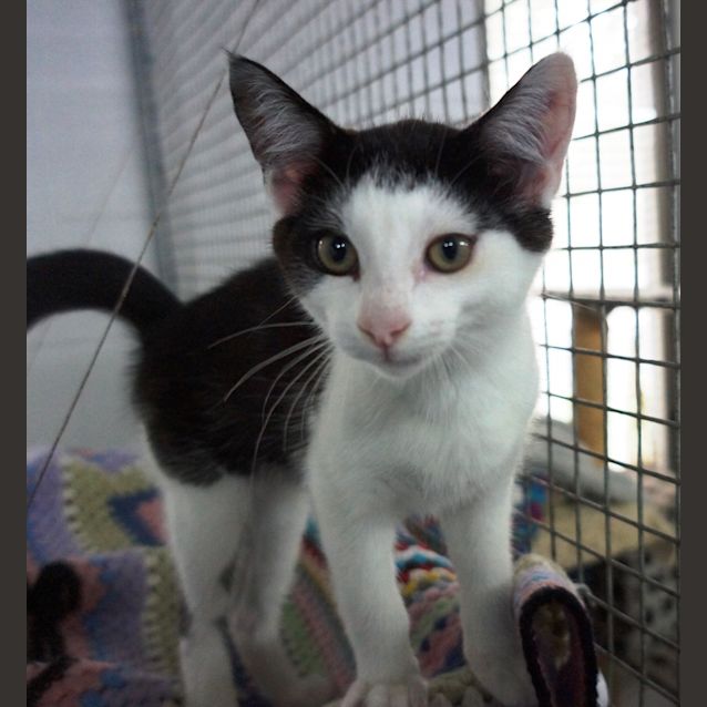 Photo of Zephyr