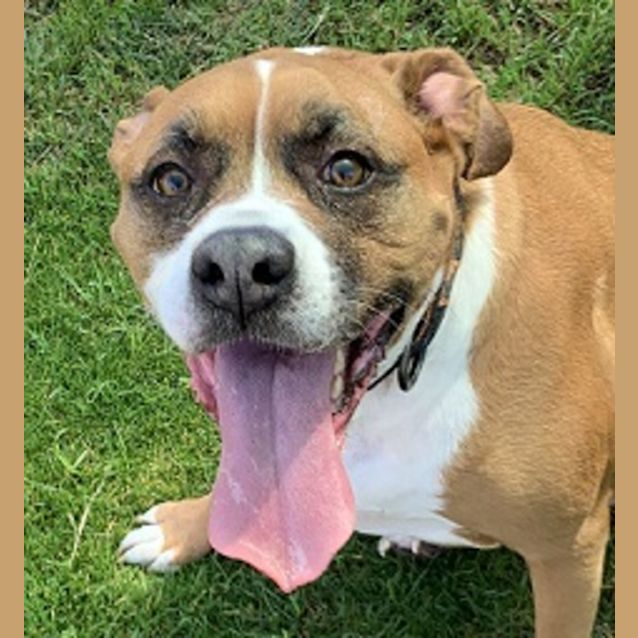 Photo of Rosco
