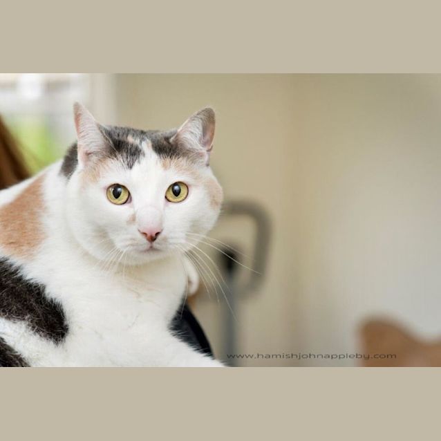 Photo of  Grace Buckingham