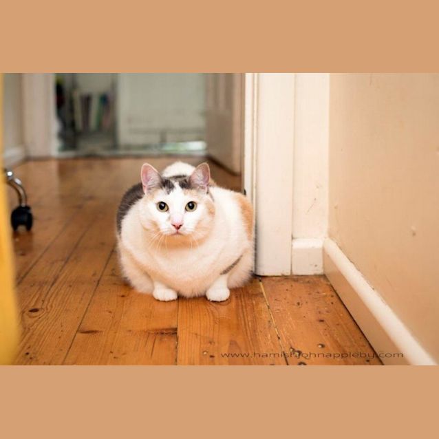 Photo of  Grace Buckingham