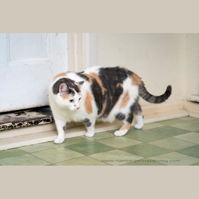 Photo of  Grace Buckingham