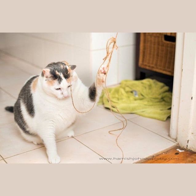 Photo of  Grace Buckingham