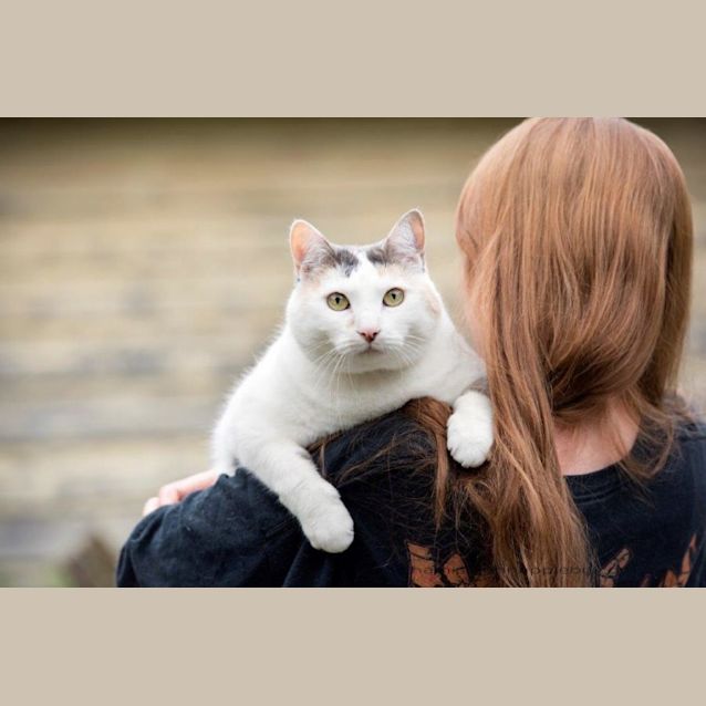 Photo of  Grace Buckingham