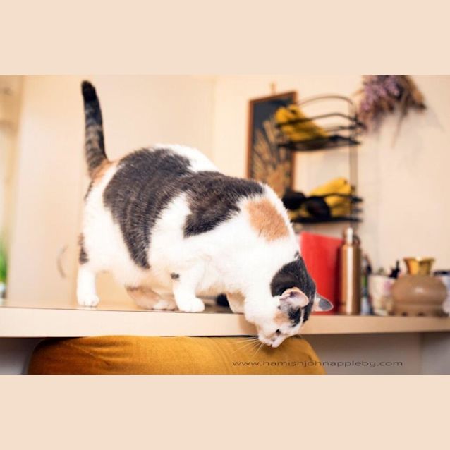 Photo of  Grace Buckingham