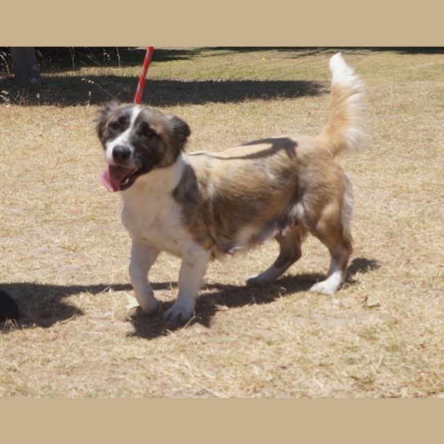Photo of Sugar