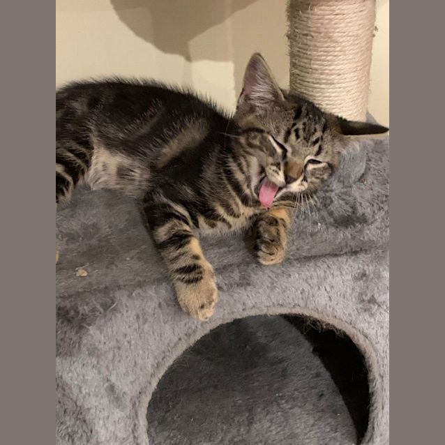 Photo of Pacino And Di Nero