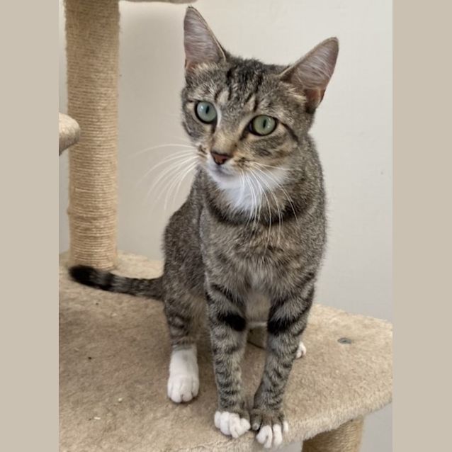 Photo of C976  Fleur