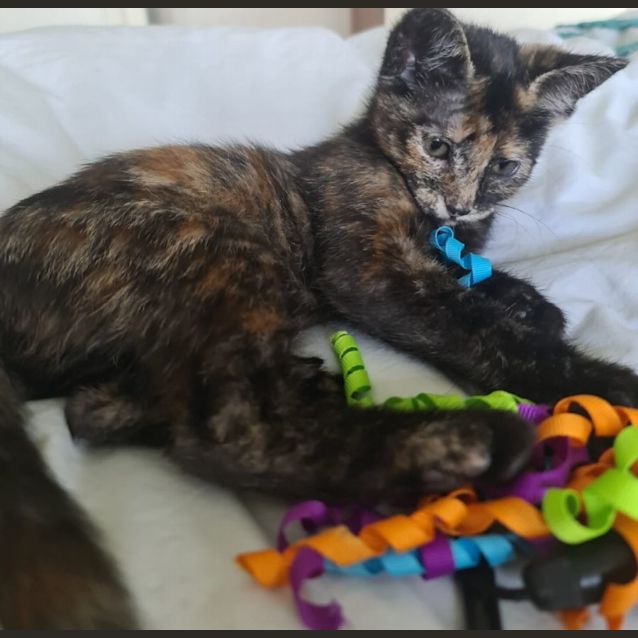 Photo of Delilah