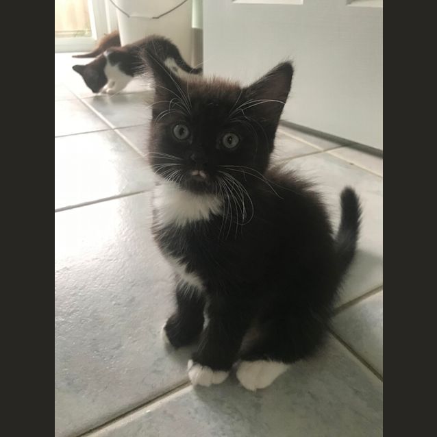 Photo of Fred