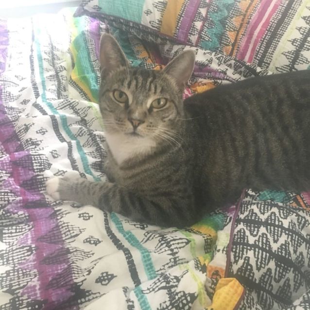 Photo of C983 Charlie