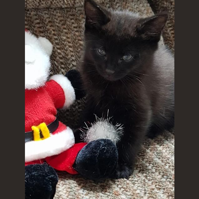 Photo of Oliver