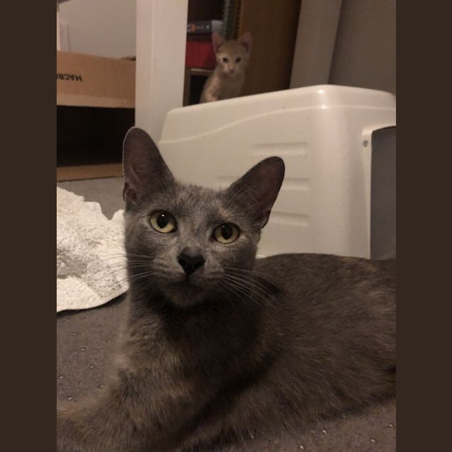 Photo of Bobby