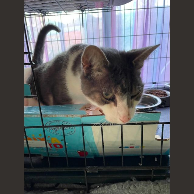 Photo of Marley & Dusty