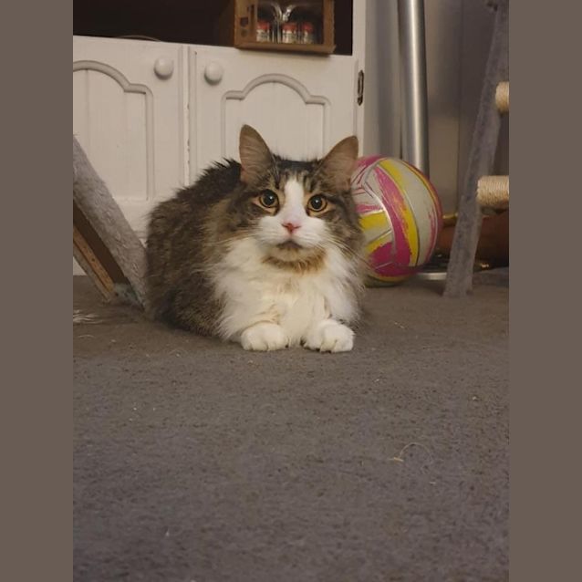 Photo of Claude & Squash