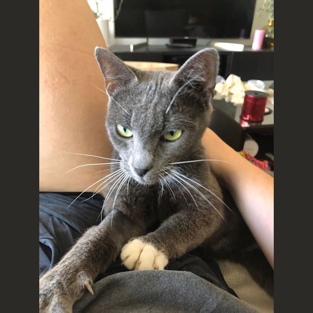 Photo of Tasha